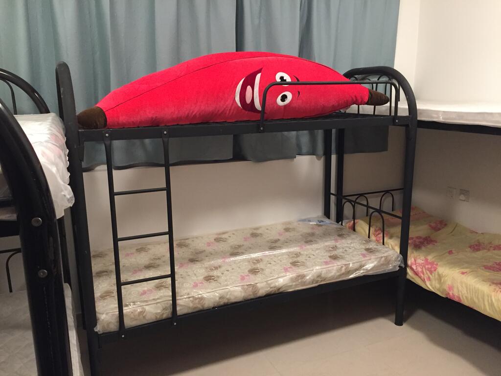 Bed In Dormitory - Accommodation Abudhabi